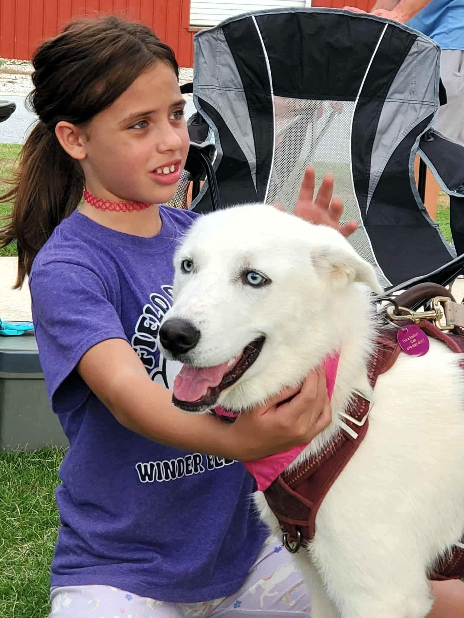 Elsa, Adopted, Young Female Siberian Husky.
