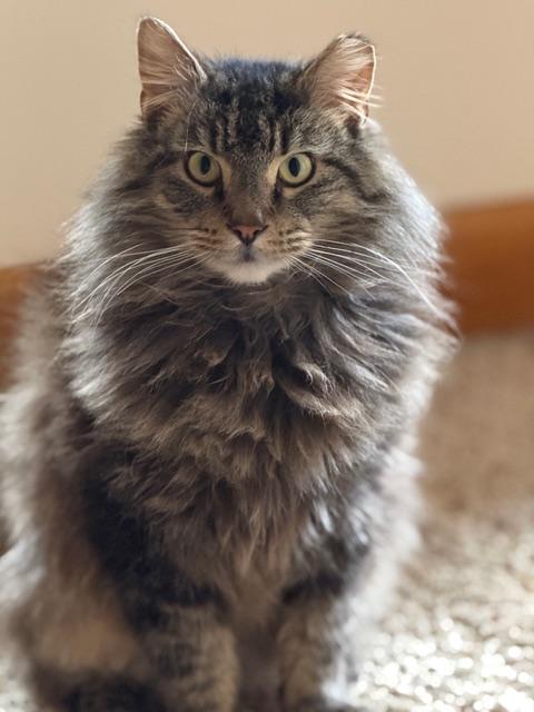 Bon Jovi thumbnail 3