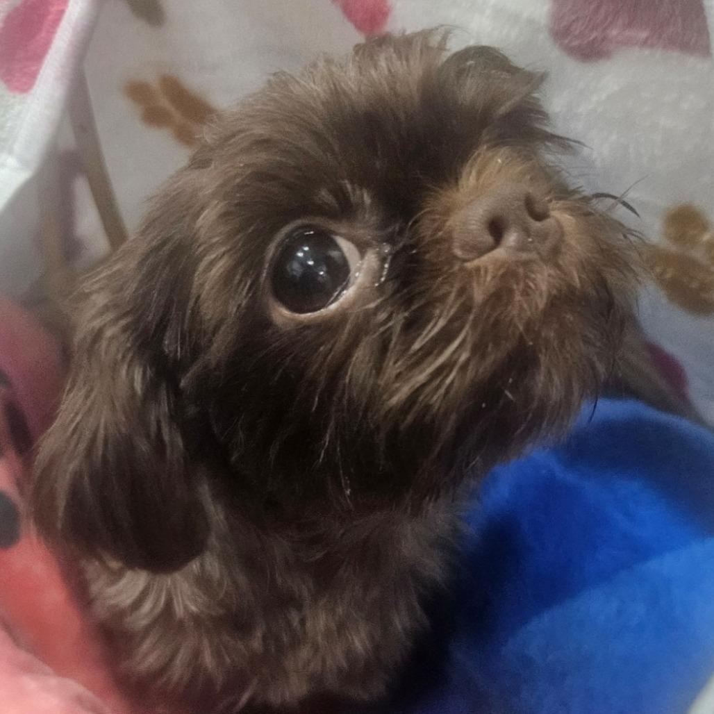 Janet — thumbnail 2