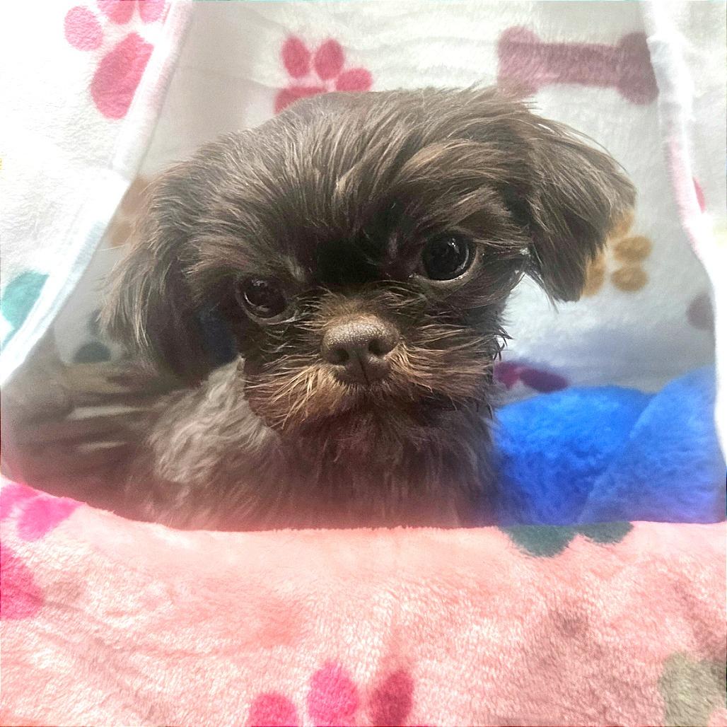 Janet — thumbnail 5