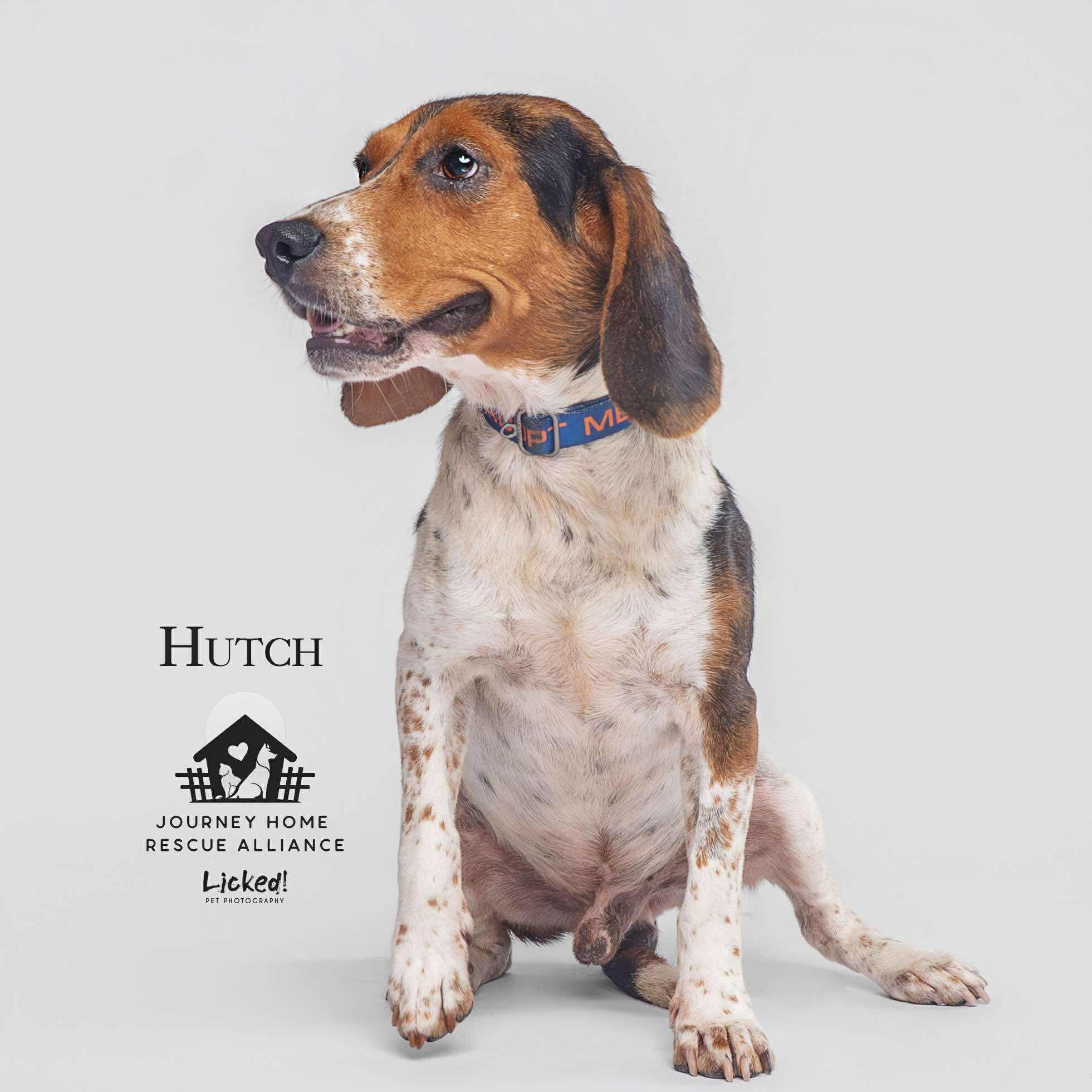 Hutch