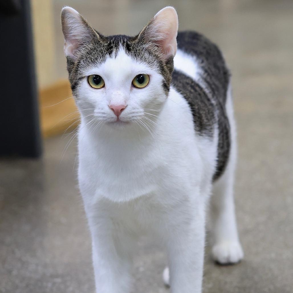 Chuckles — thumbnail 3