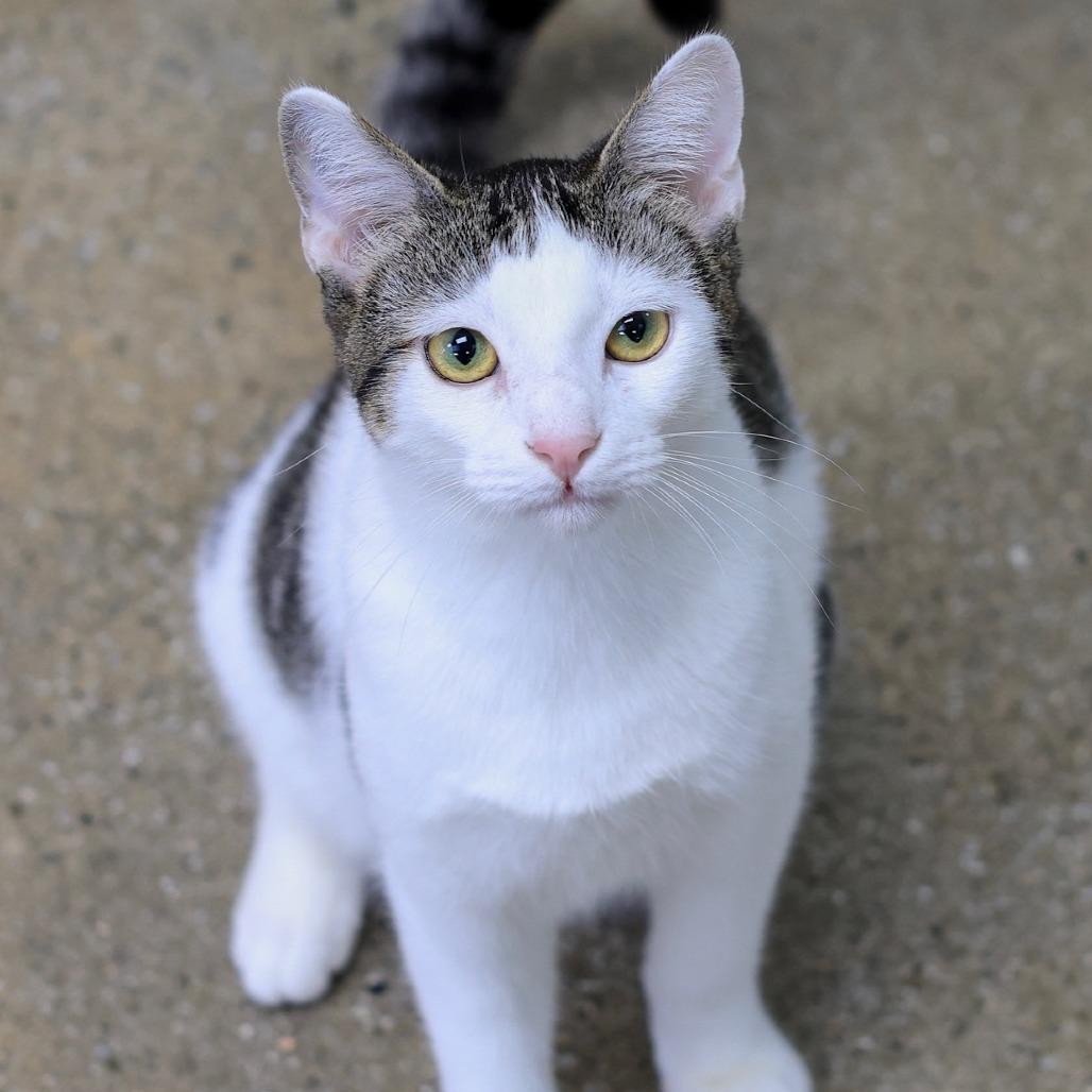 Chuckles — thumbnail 4