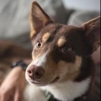 Mono — thumbnail 4