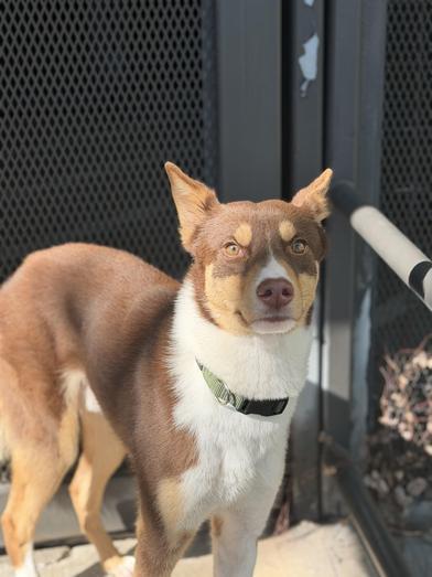 Mono — thumbnail 5