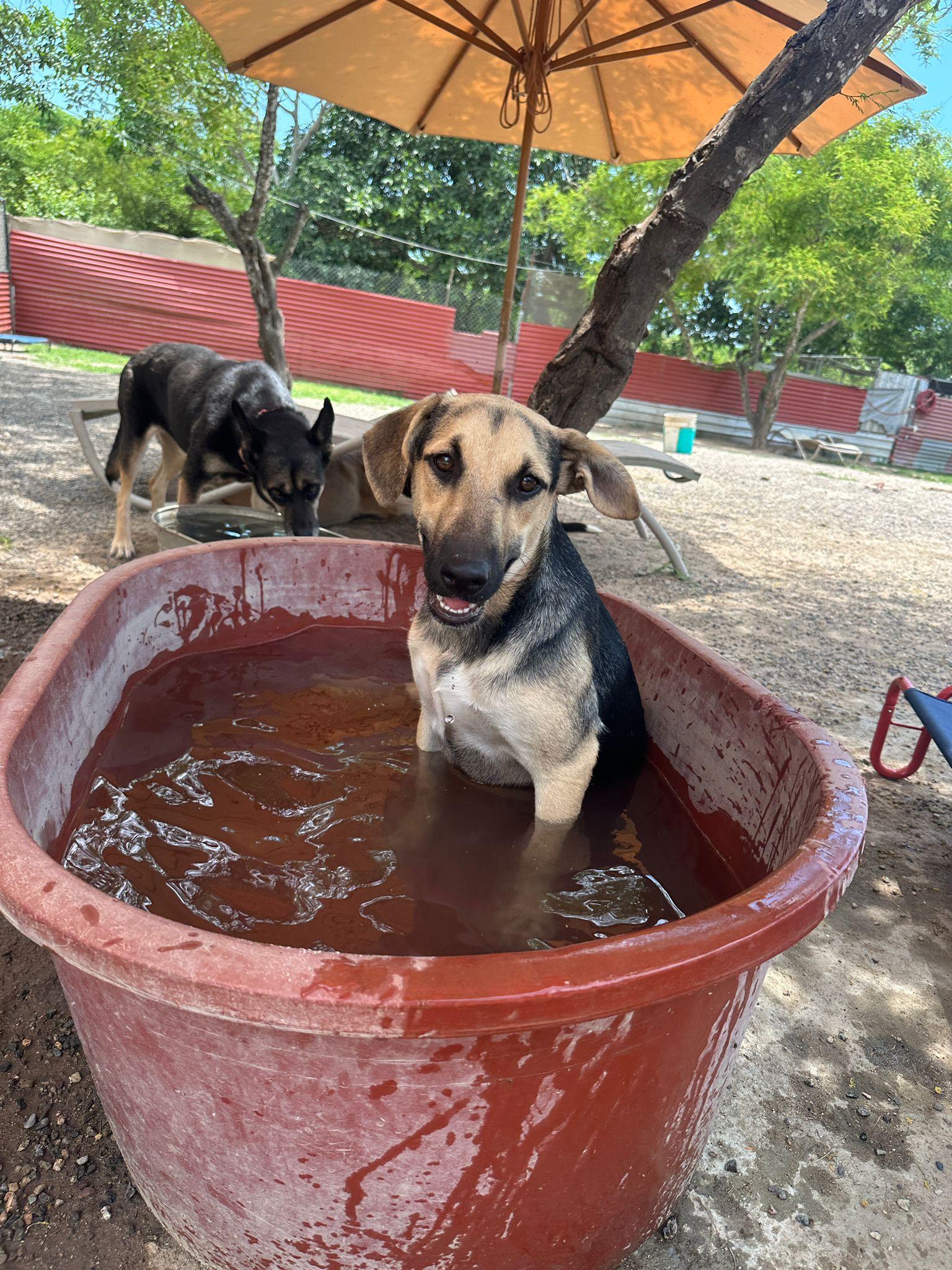 Alice — thumbnail 4