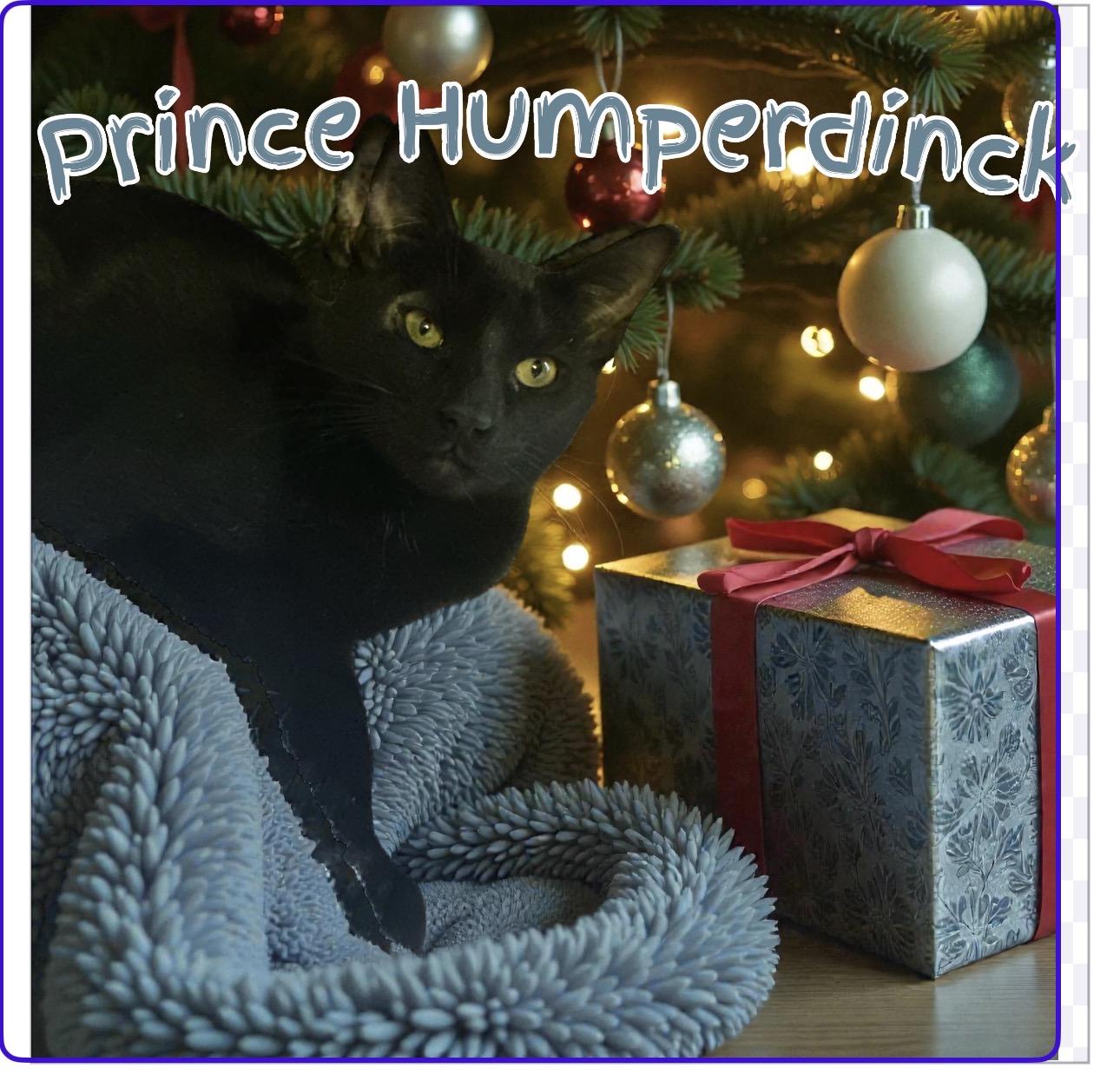 Enlarge Prince Humperdinck , a ADOPTABLE Domestic Short Hair in West Pittston, PA image 3/3