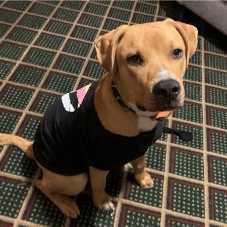 Claiborne — thumbnail 2