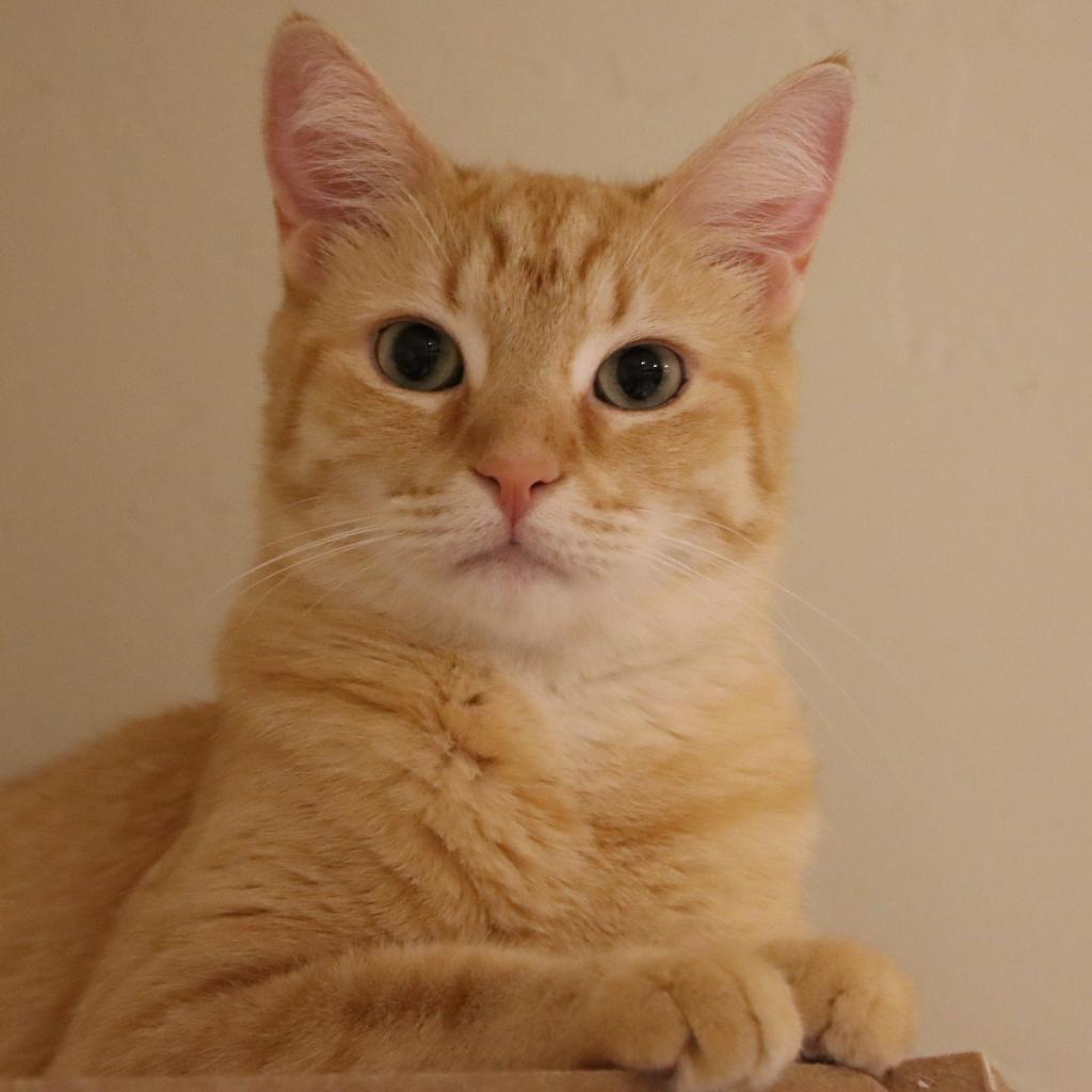 Diem — thumbnail 2