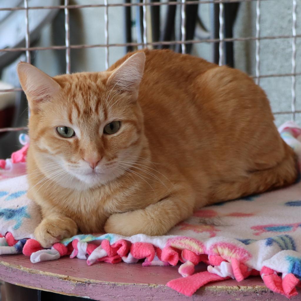 Diem — thumbnail 3