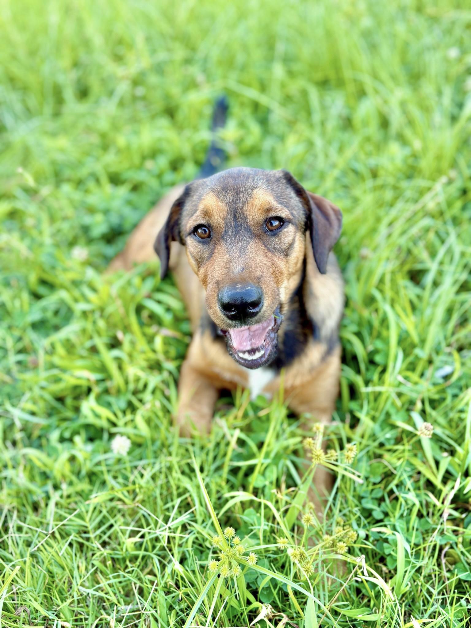 Ellie