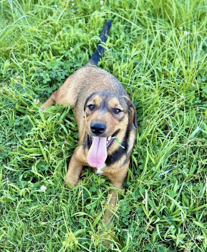 Ellie