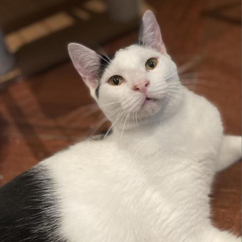 Benny