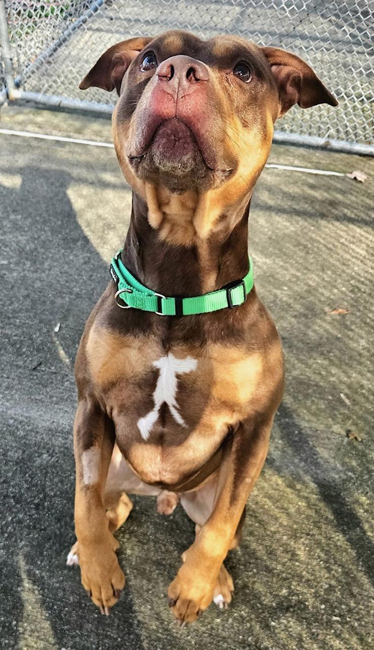 Winston