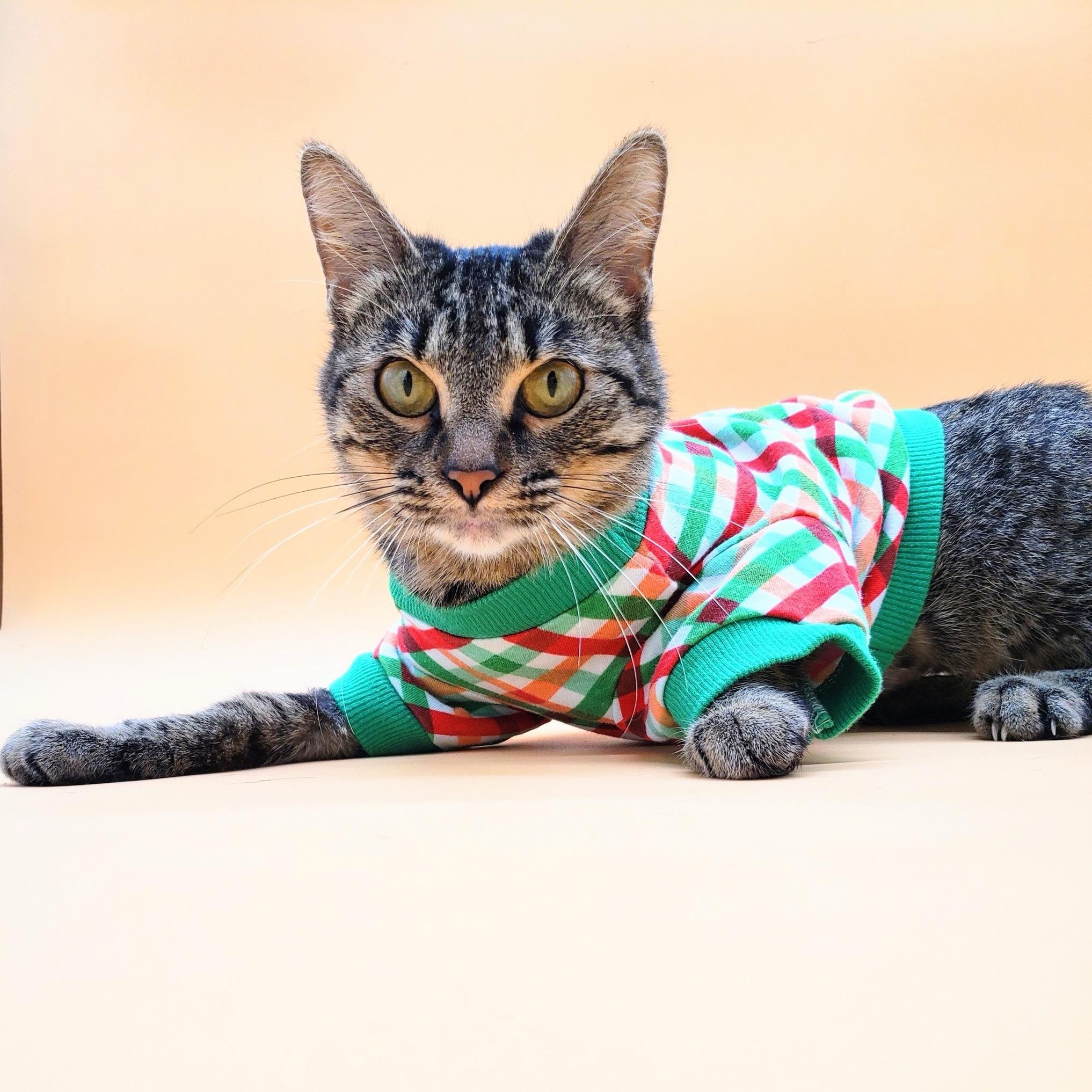 Farrah — thumbnail 2