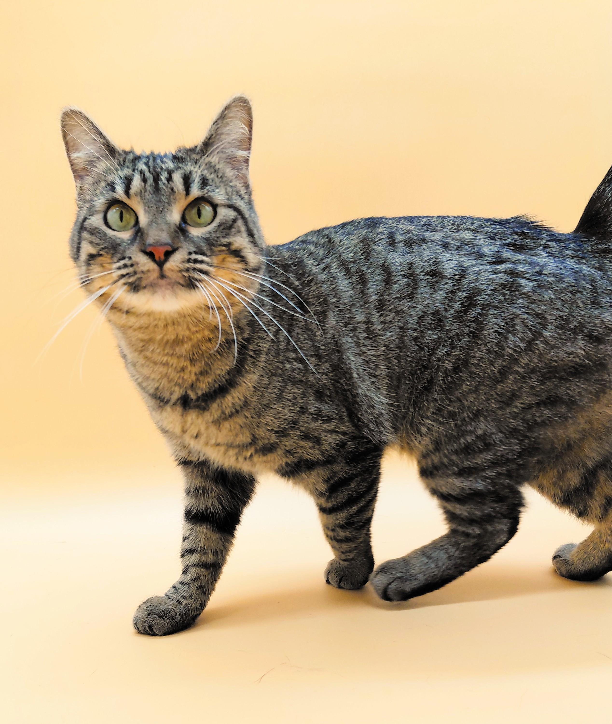 Farrah — thumbnail 4