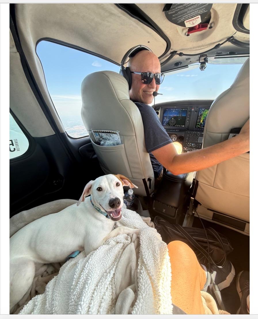 Gator in NH! Come Meet our Adoptable Dogs Wednesday-Saturday. More info in Bio!