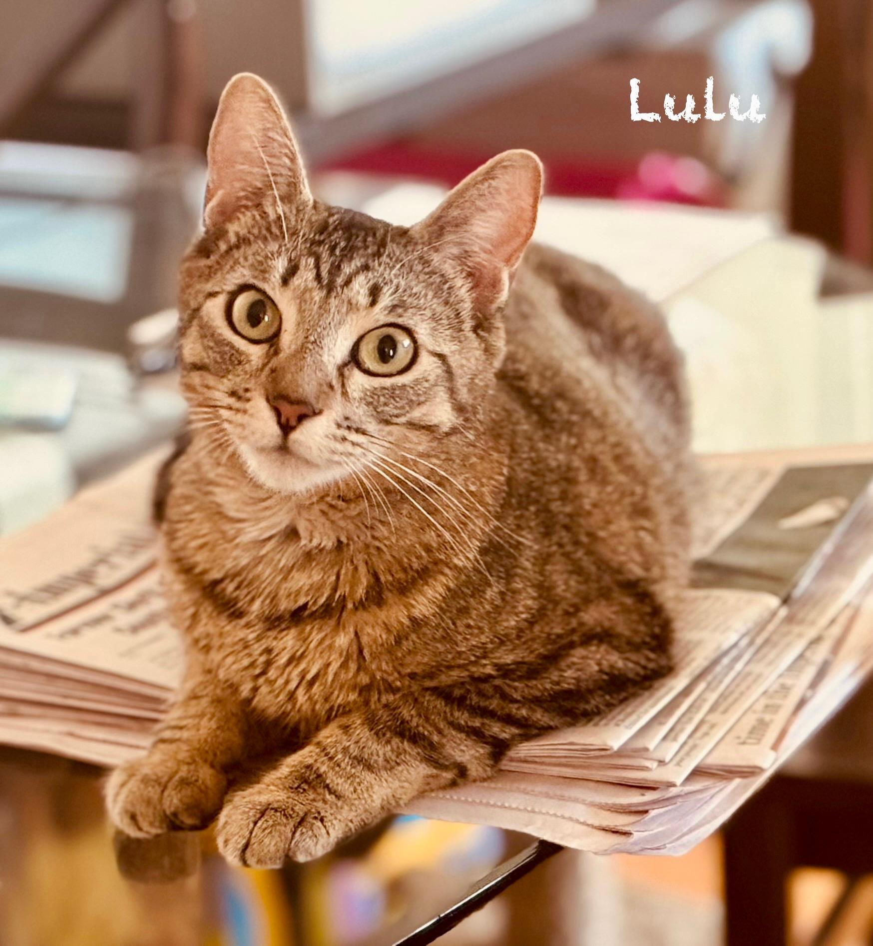 Lulu