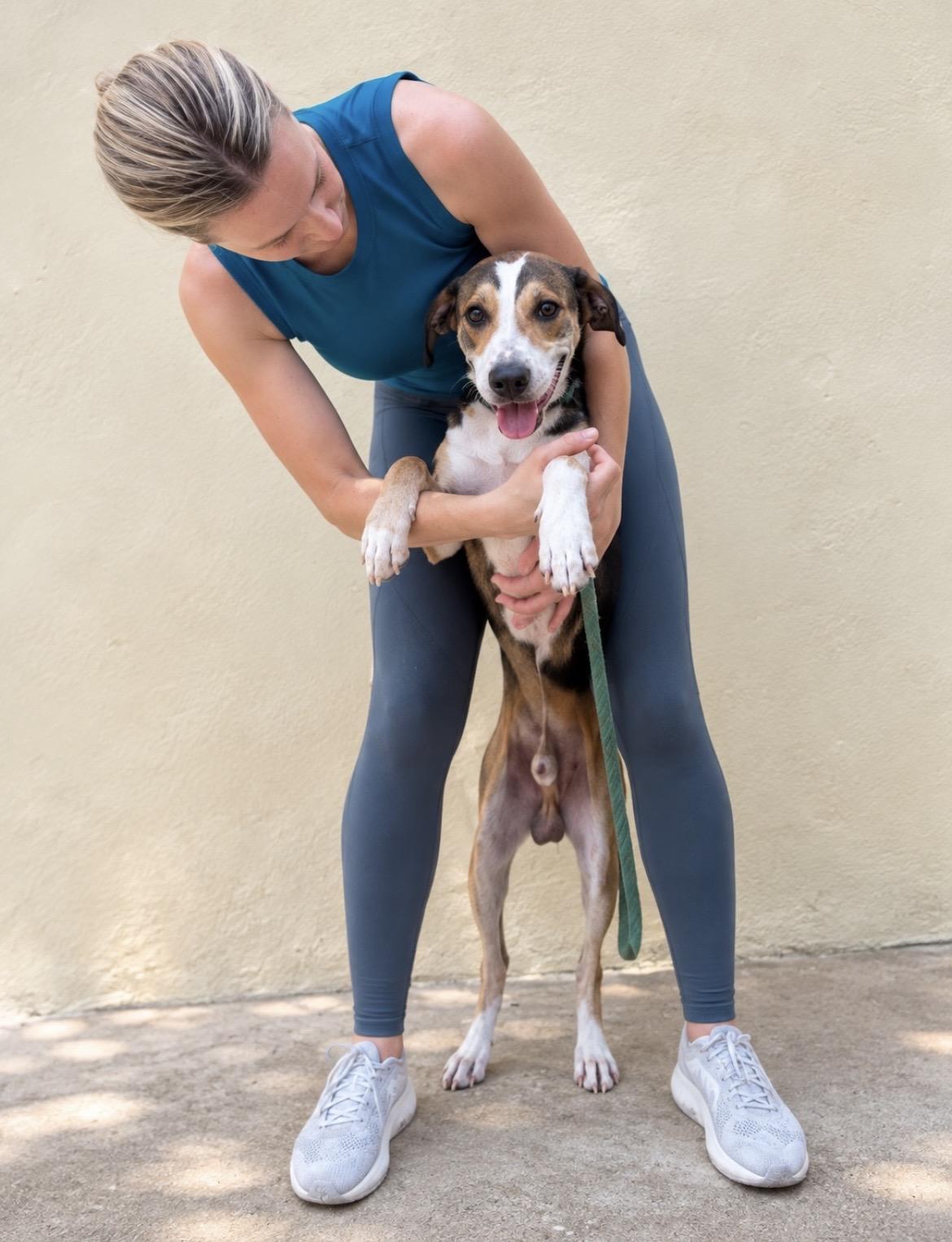 Enlarge Sammy, a Adoptable mixed breed in New York, NY image 3/6