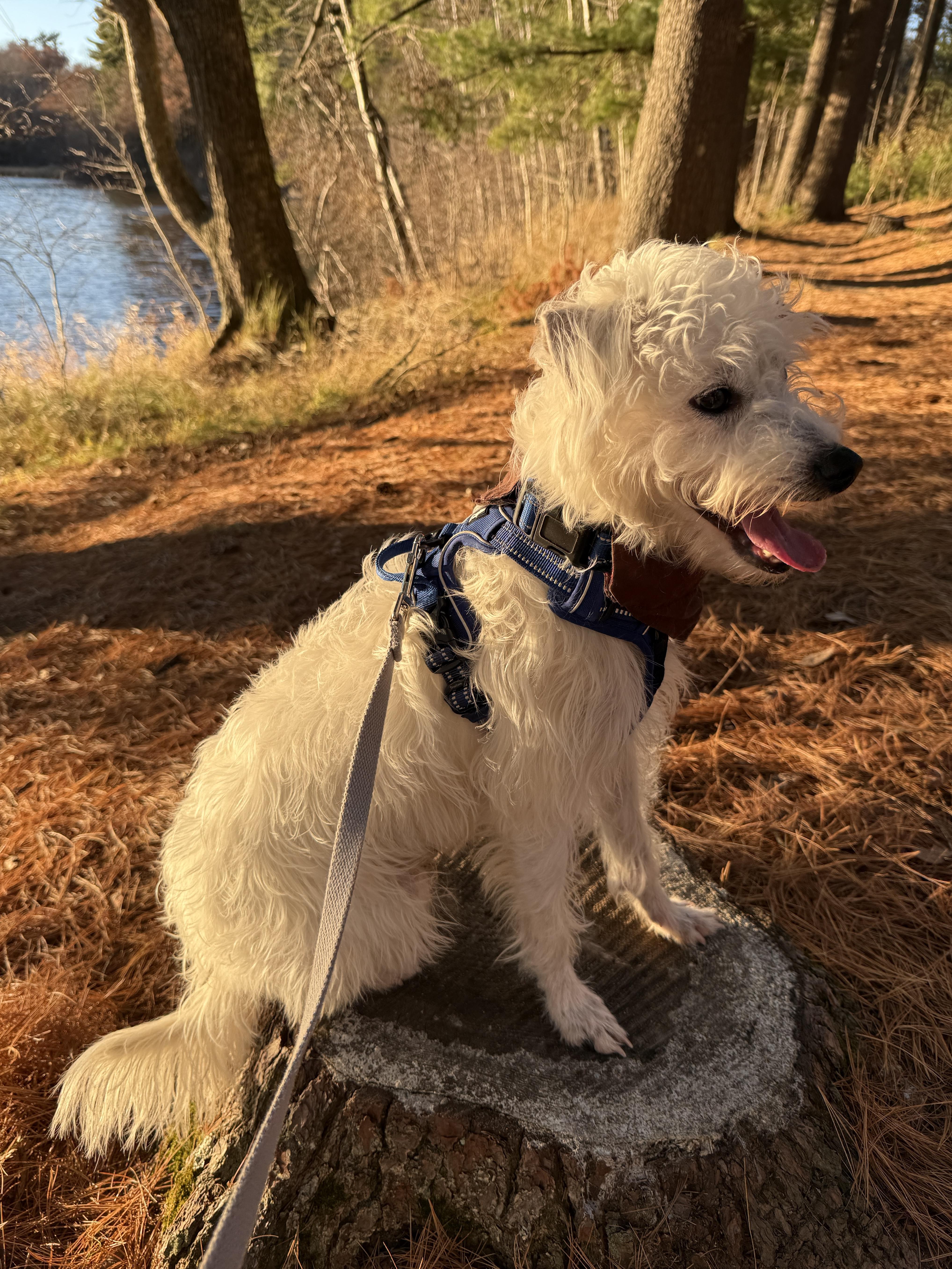 Sprinkles thumbnail 2