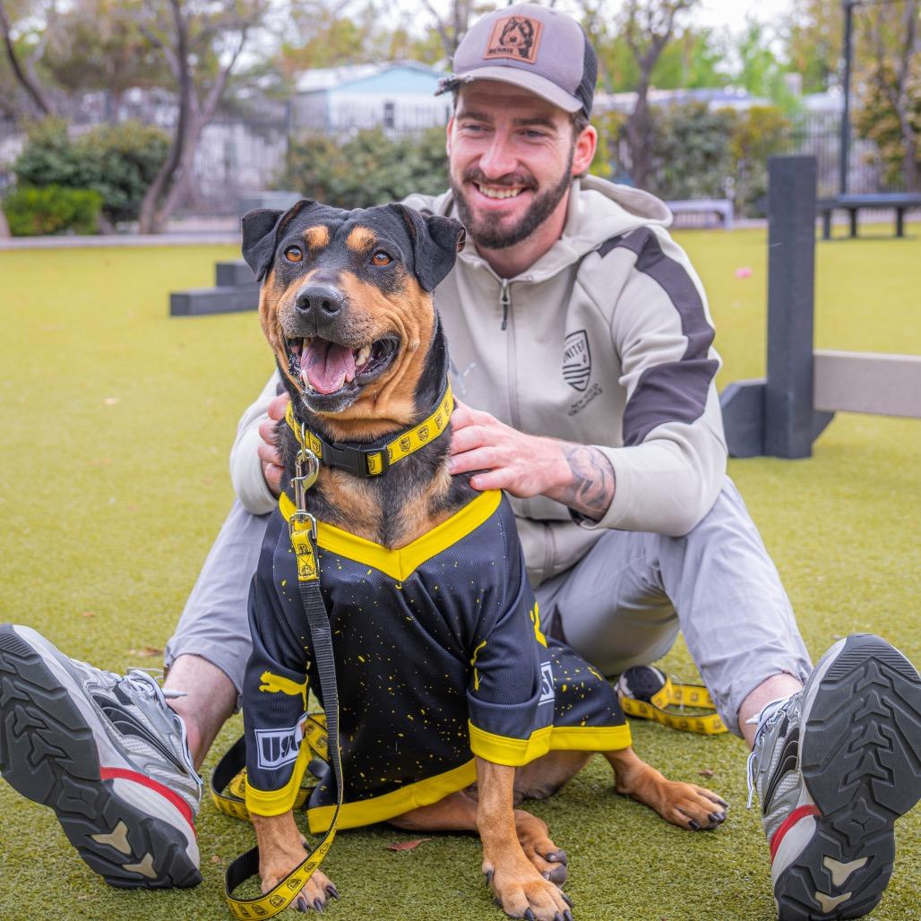 Enlarge Tanya, a Adoptable mixed breed in Albuquerque, NM image 5/6