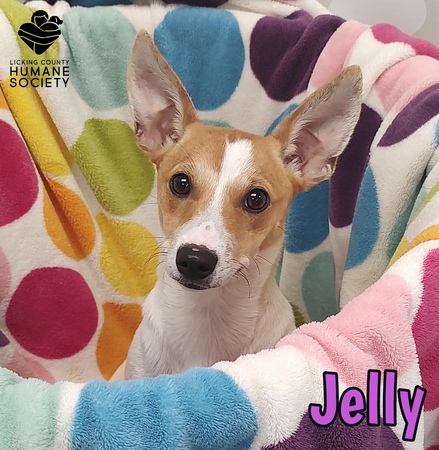 Jelly