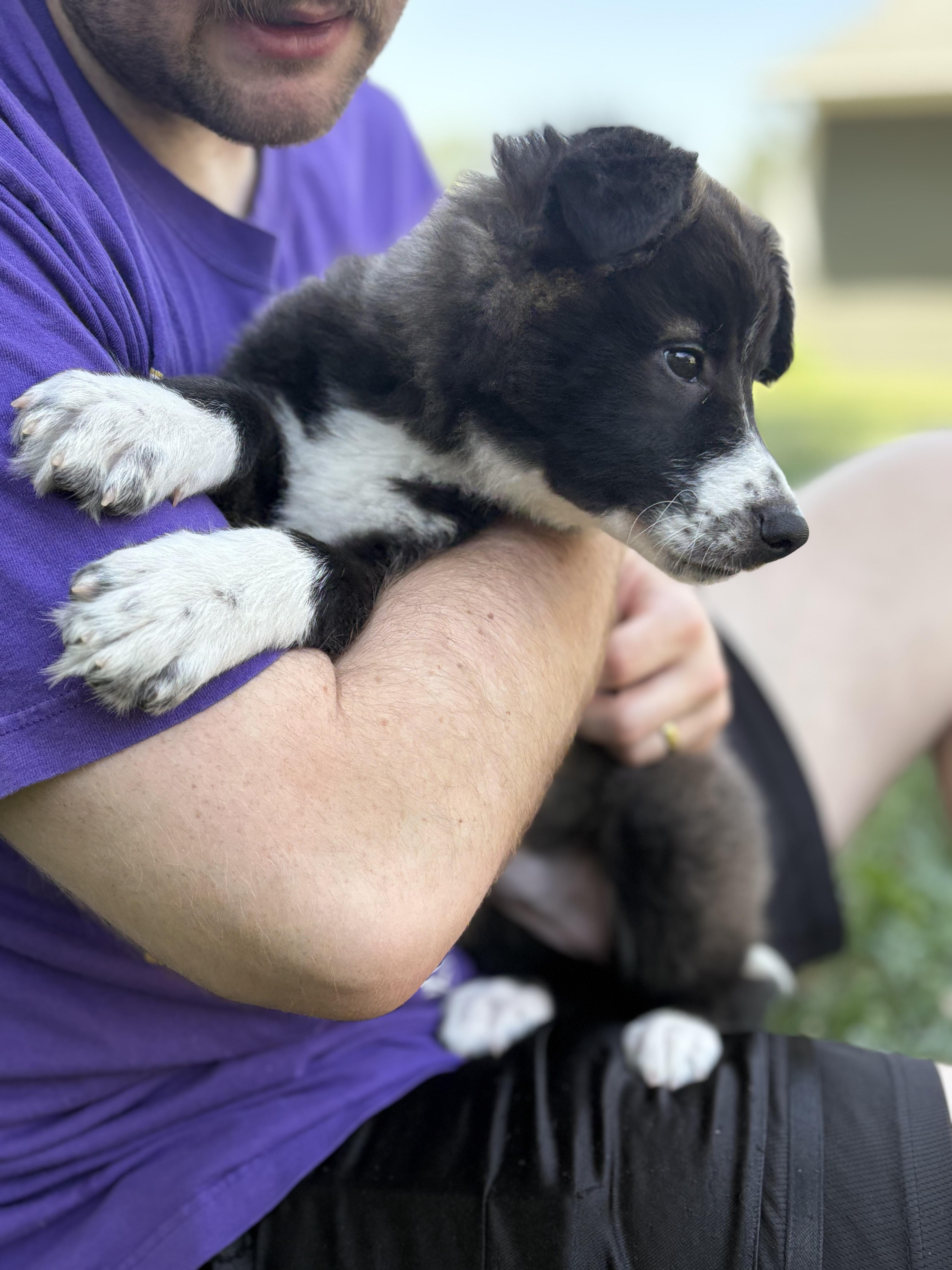 Willow photo 2