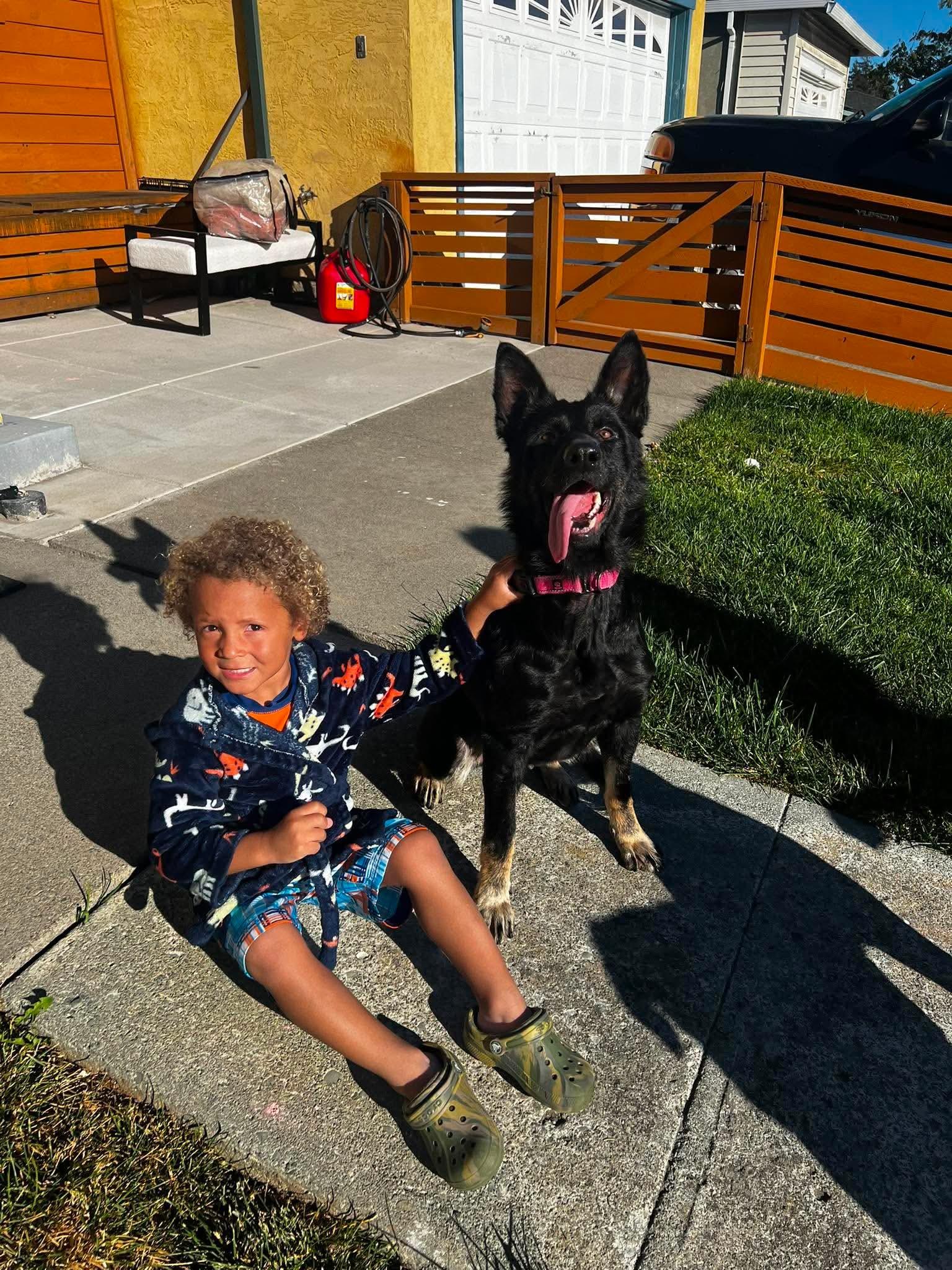 Enlarge Ruby, a ADOPTABLE mixed breed in benicia, CA image 5/5