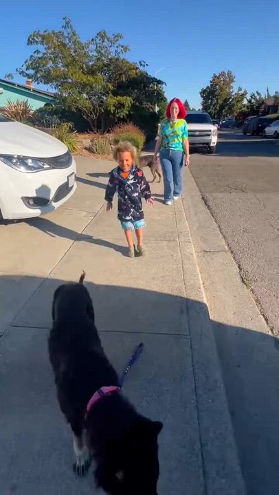 Enlarge Ruby, a ADOPTABLE mixed breed in benicia, CA video 2/5