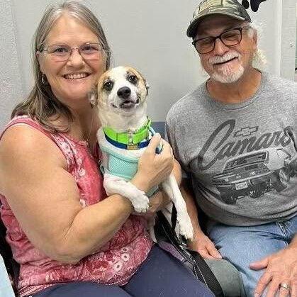 Louie * — thumbnail 2