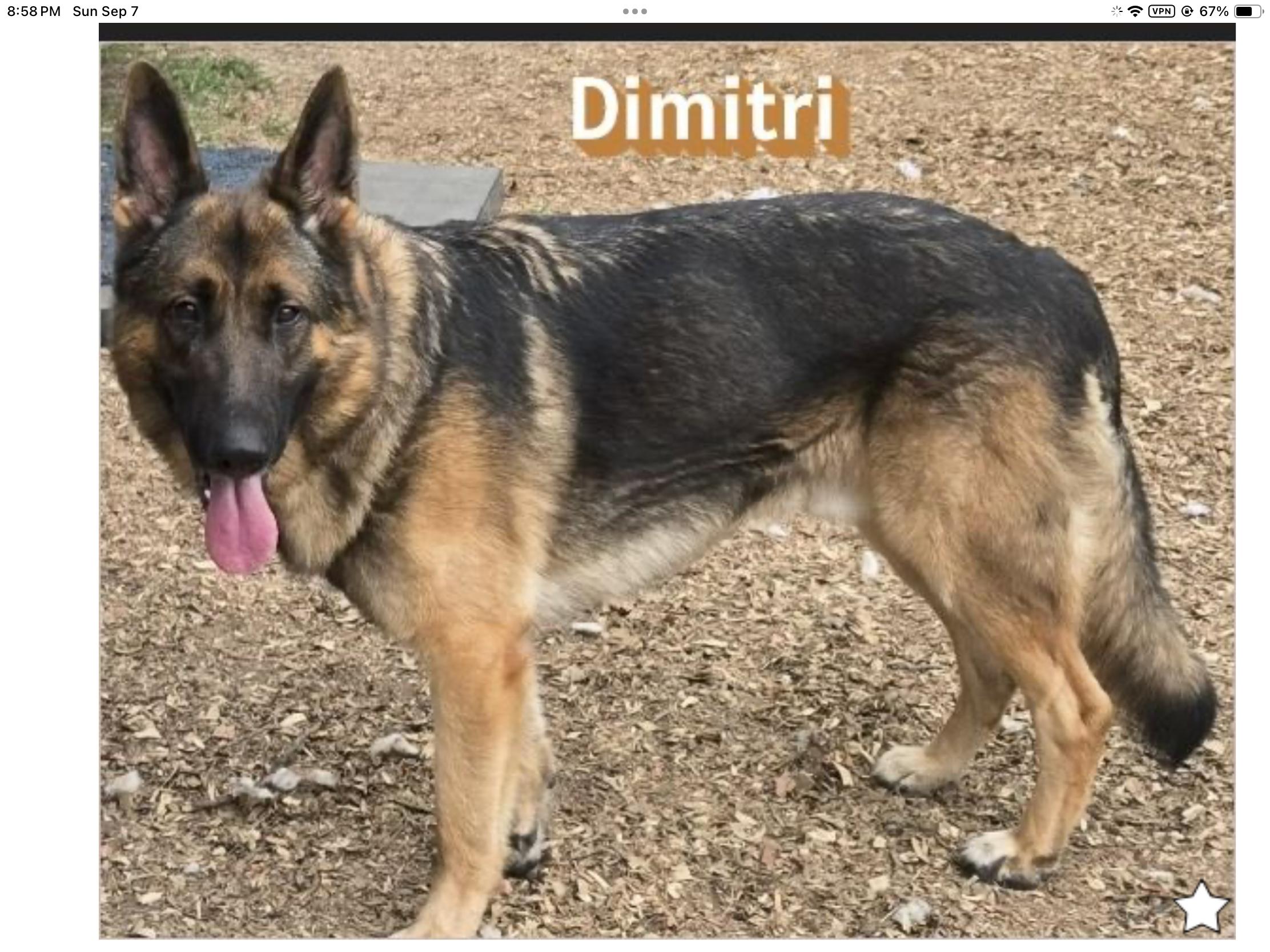 Dimitri