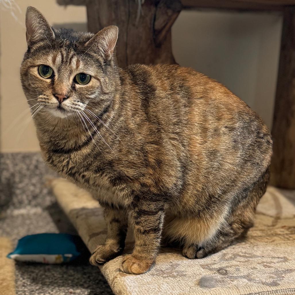 Tatiana — thumbnail 3