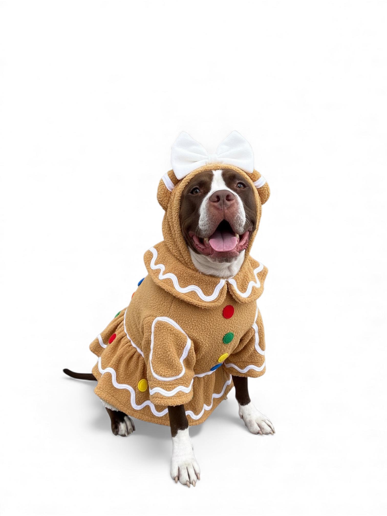 Enlarge Enya-ADOPT Me!!, a Adoptable mixed breed in Redondo Beach, CA image 2/5