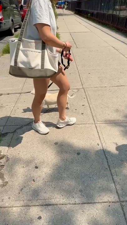 Enlarge LouLou, a ADOPTABLE mixed breed in Brooklyn, NY video 4/6