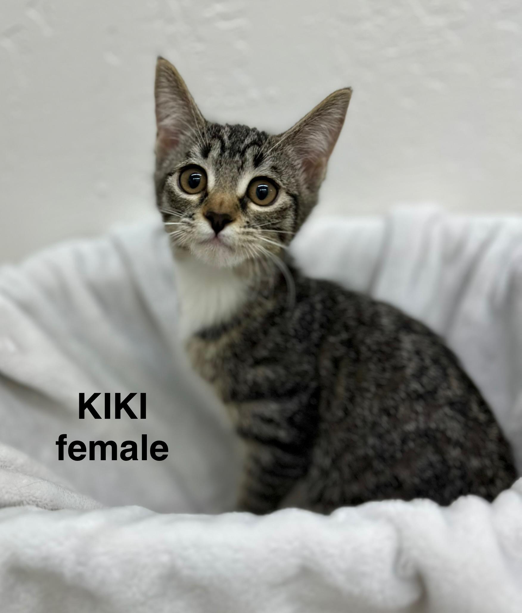 Kiki 0125