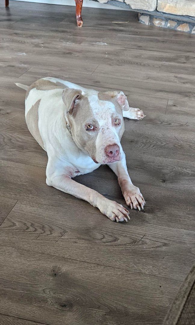 Gretchen (and Stewart) — thumbnail 3