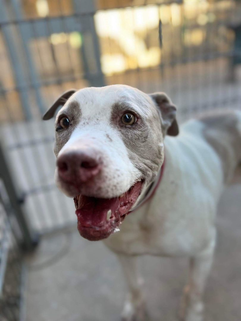 Gretchen (and Stewart) — thumbnail 5