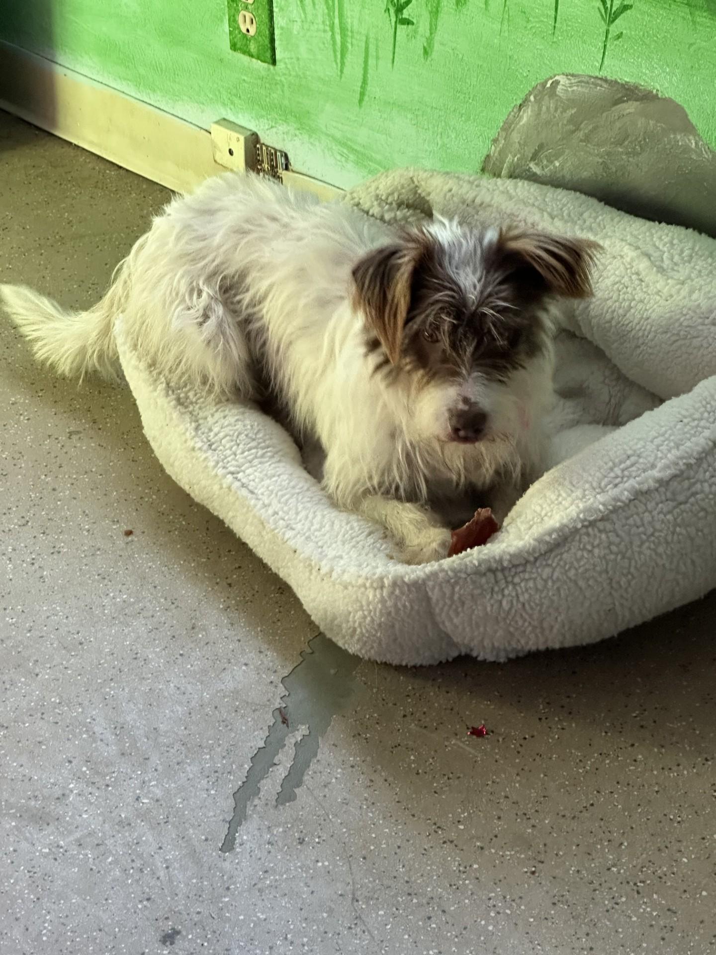 MISSY photo 4