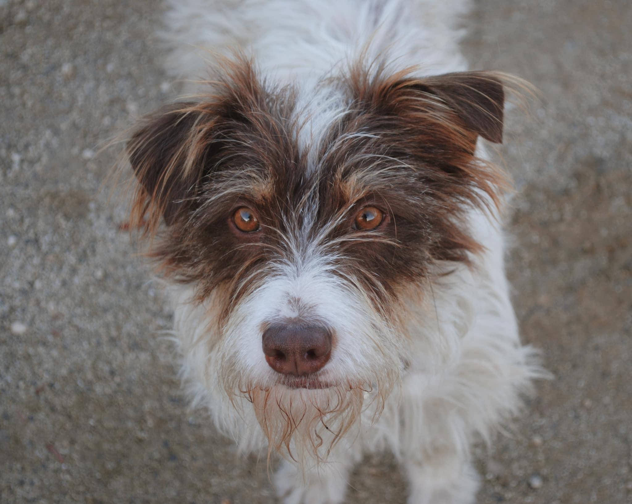 MISSY photo 5