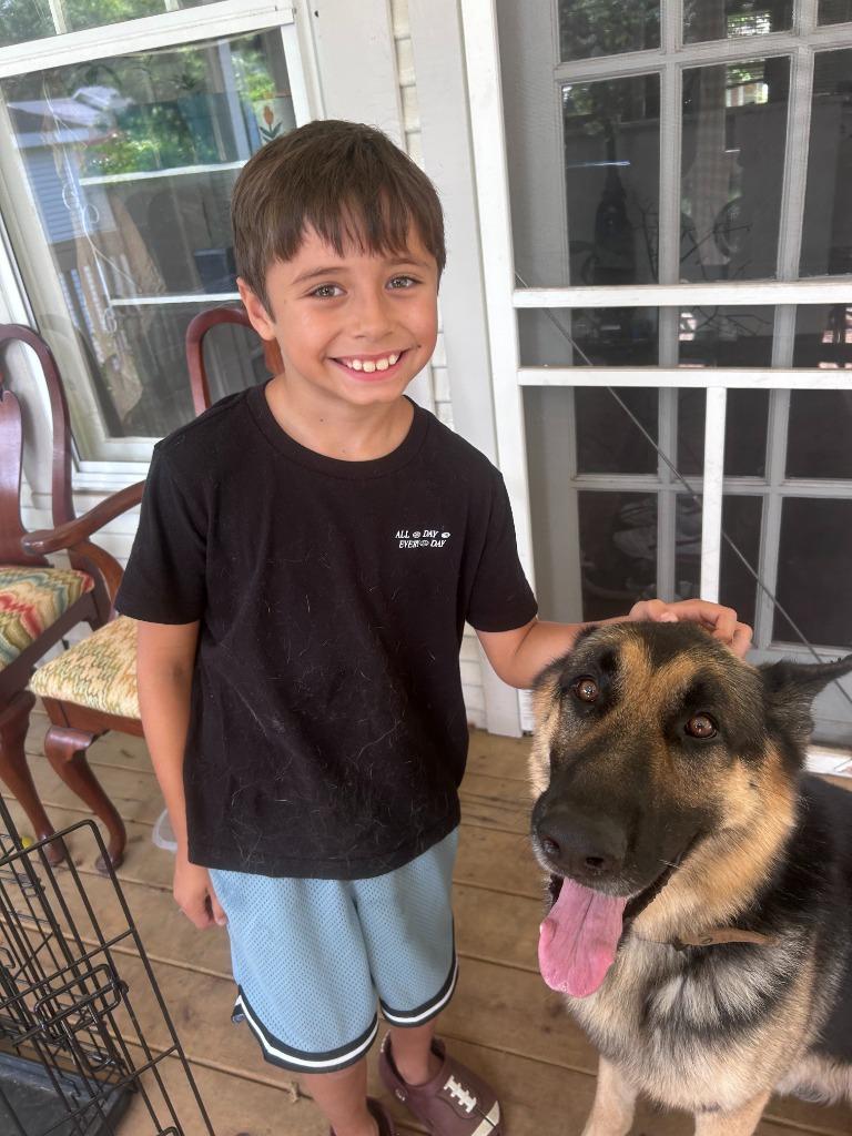 Ceasar, a Adopted German Shepherd Dog in Little Rock, AR image 5/5