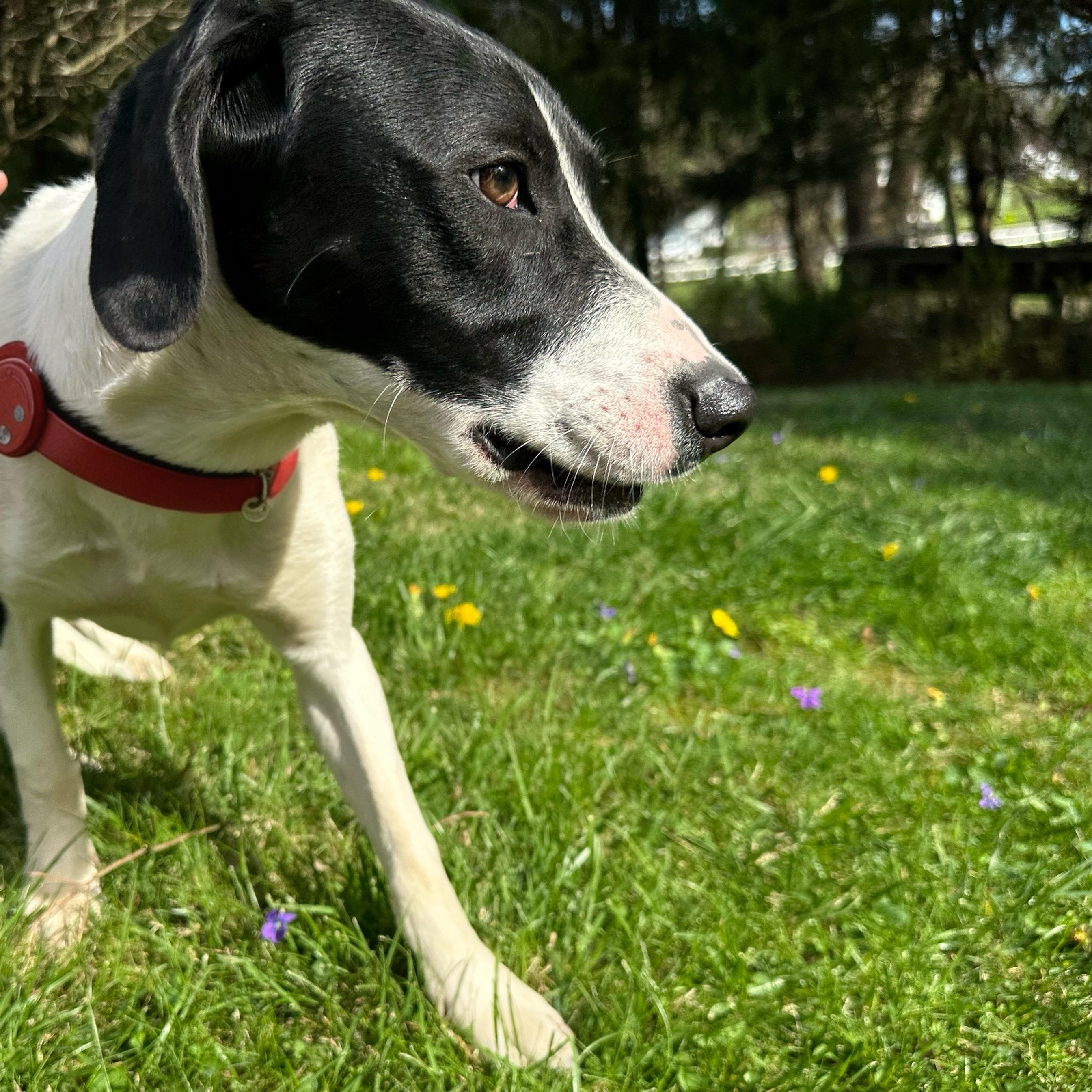 Isabella photo 4