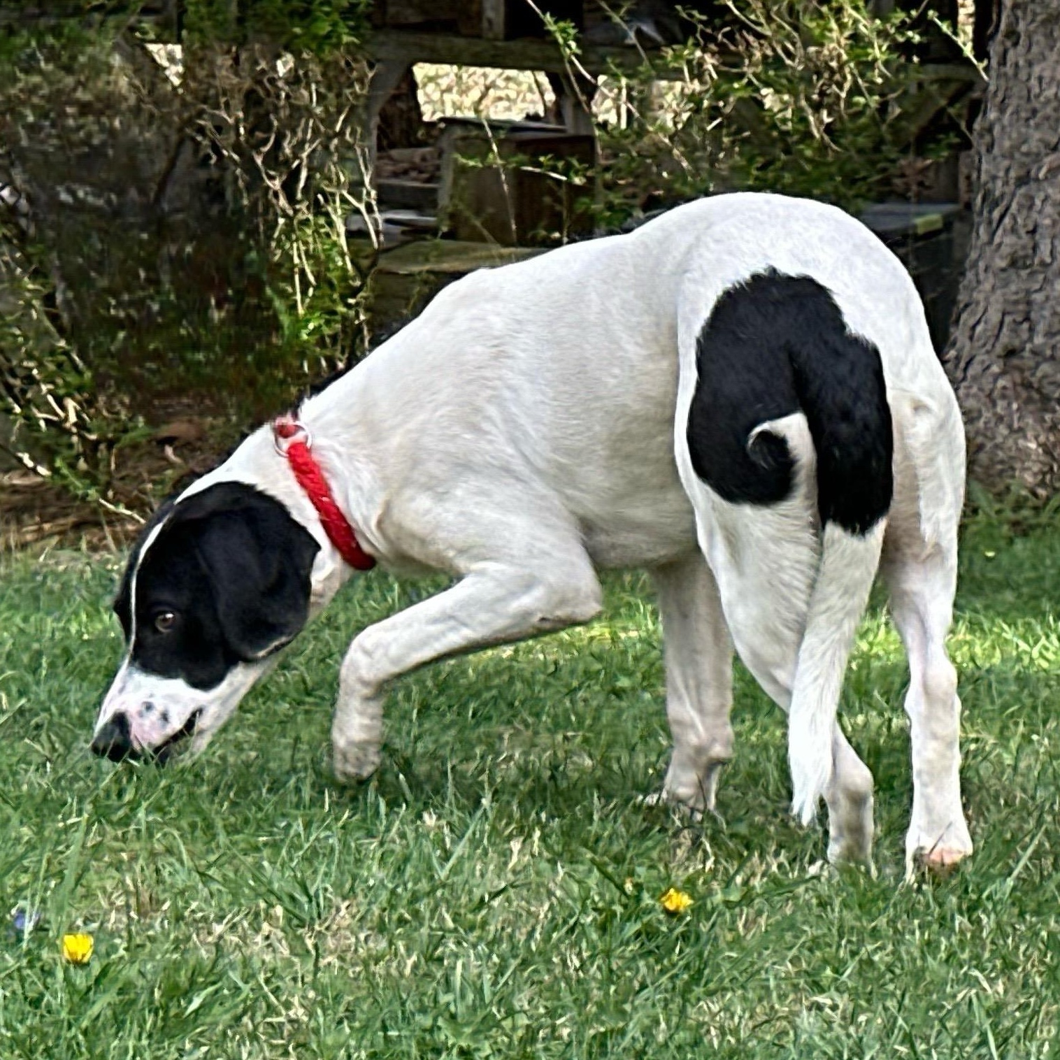 Isabella photo 5
