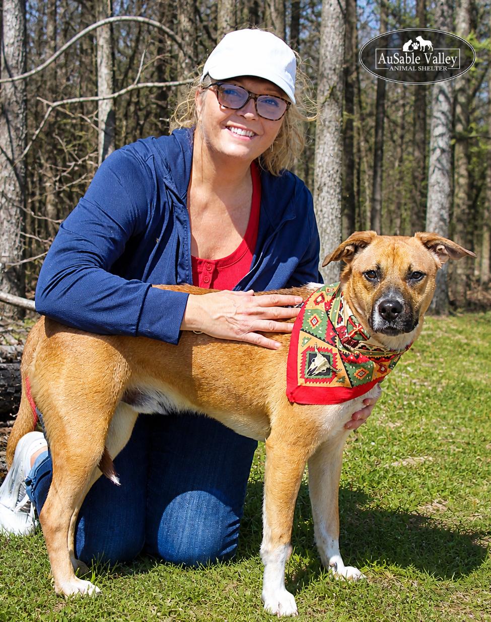 Jaws, a ADOPTABLE Mixed Breed in Grayling, MI image 6/6