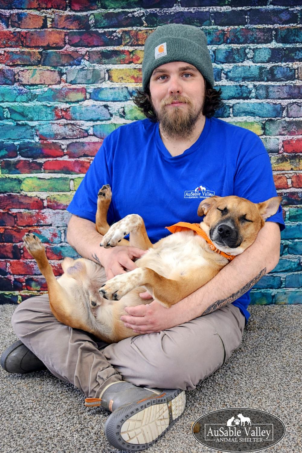 Enlarge Jaws, a ADOPTABLE Mixed Breed in Grayling, MI image 4/6