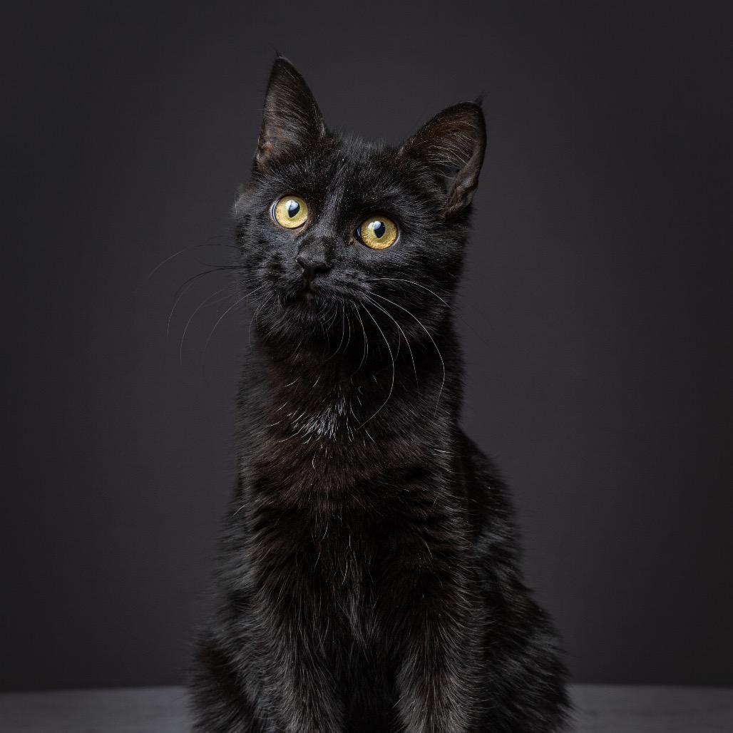 Stromboli thumbnail 3