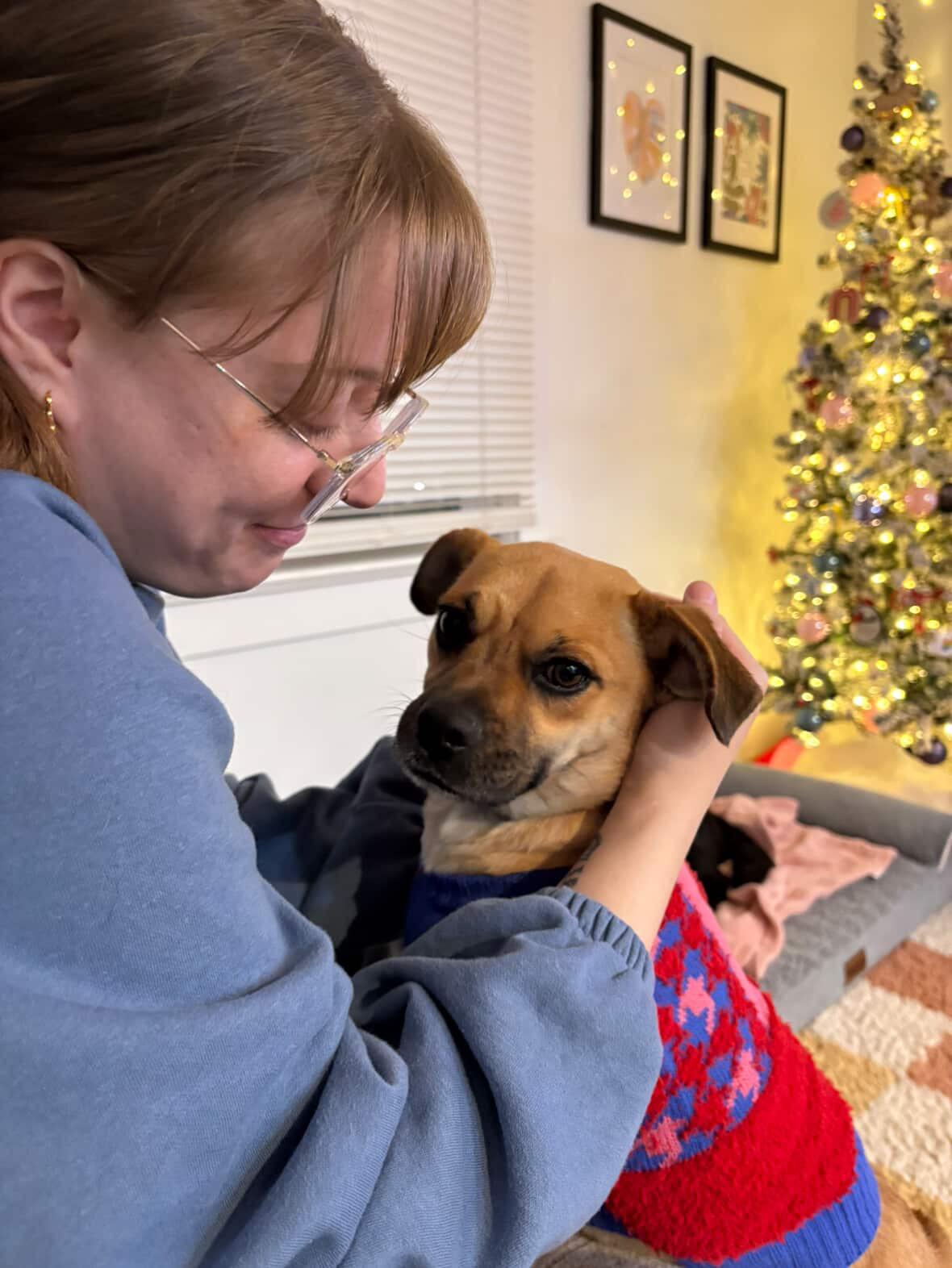 Enlarge Chaparrita, an adopted mixed breed in Hilton, NY image 4/5