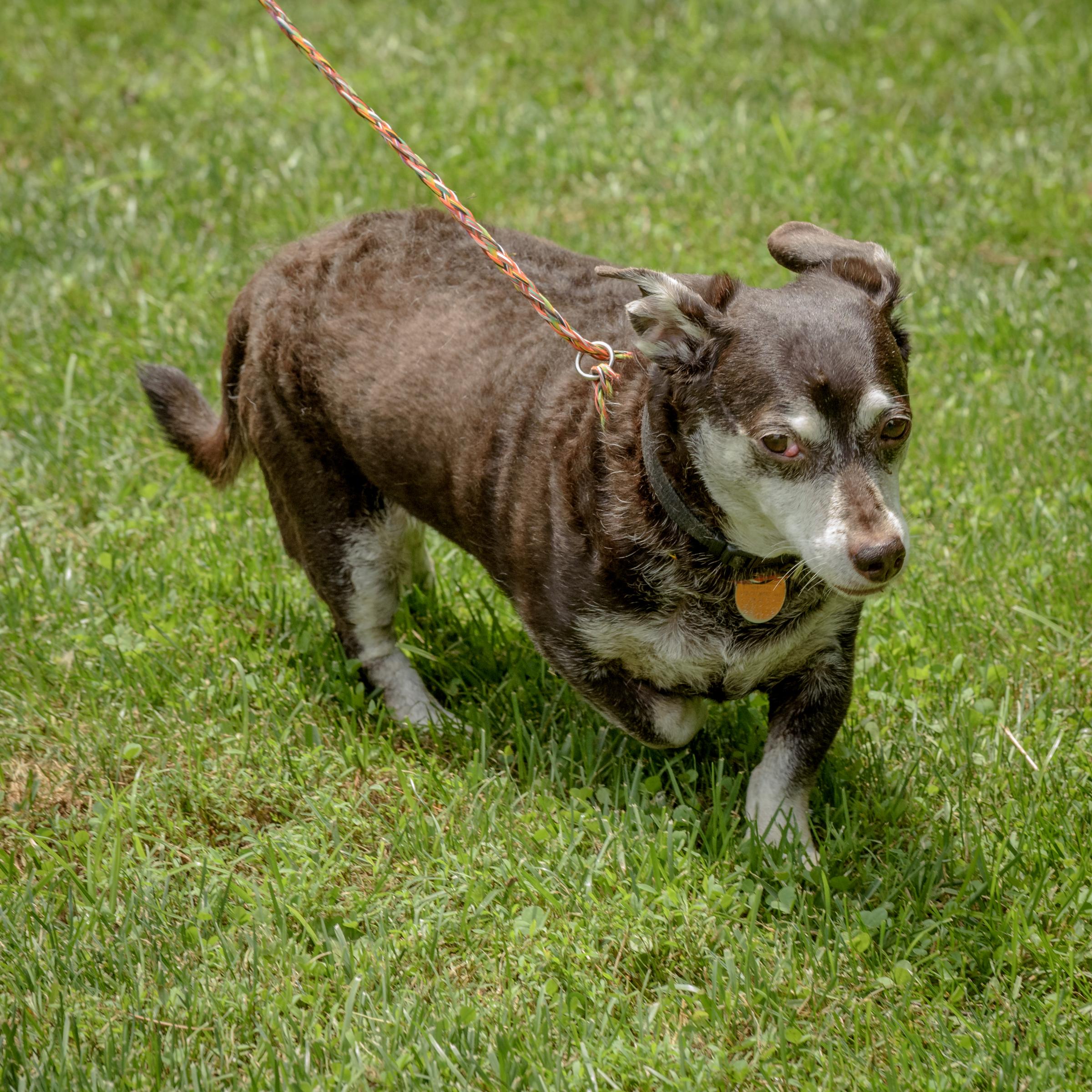 Little Man photo 6