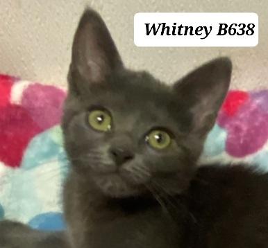 Whitney photo 2