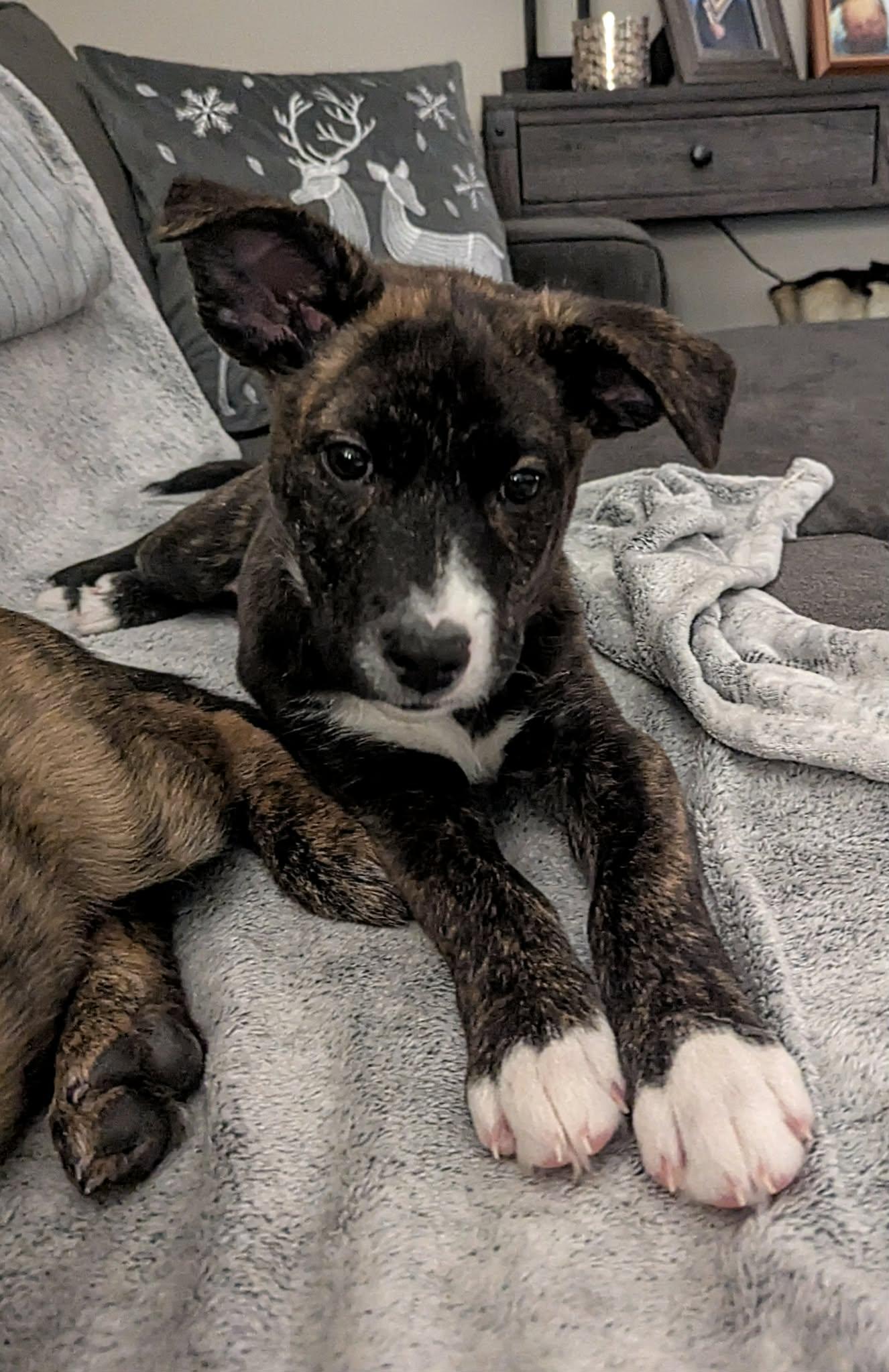 Fireball (20260110-01) — thumbnail 2