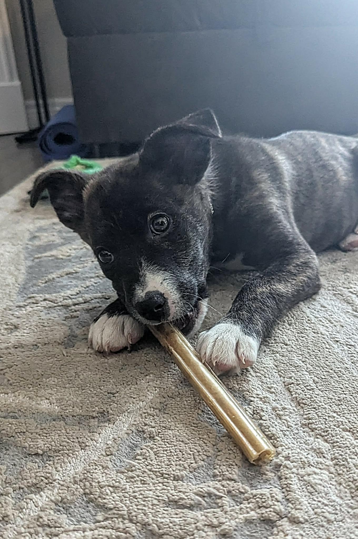 Fireball (20260110-01) — thumbnail 3